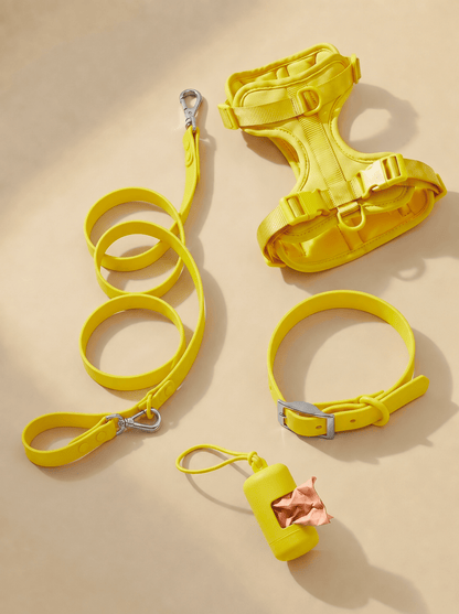 WaffleWalk Set - Wafflepupz