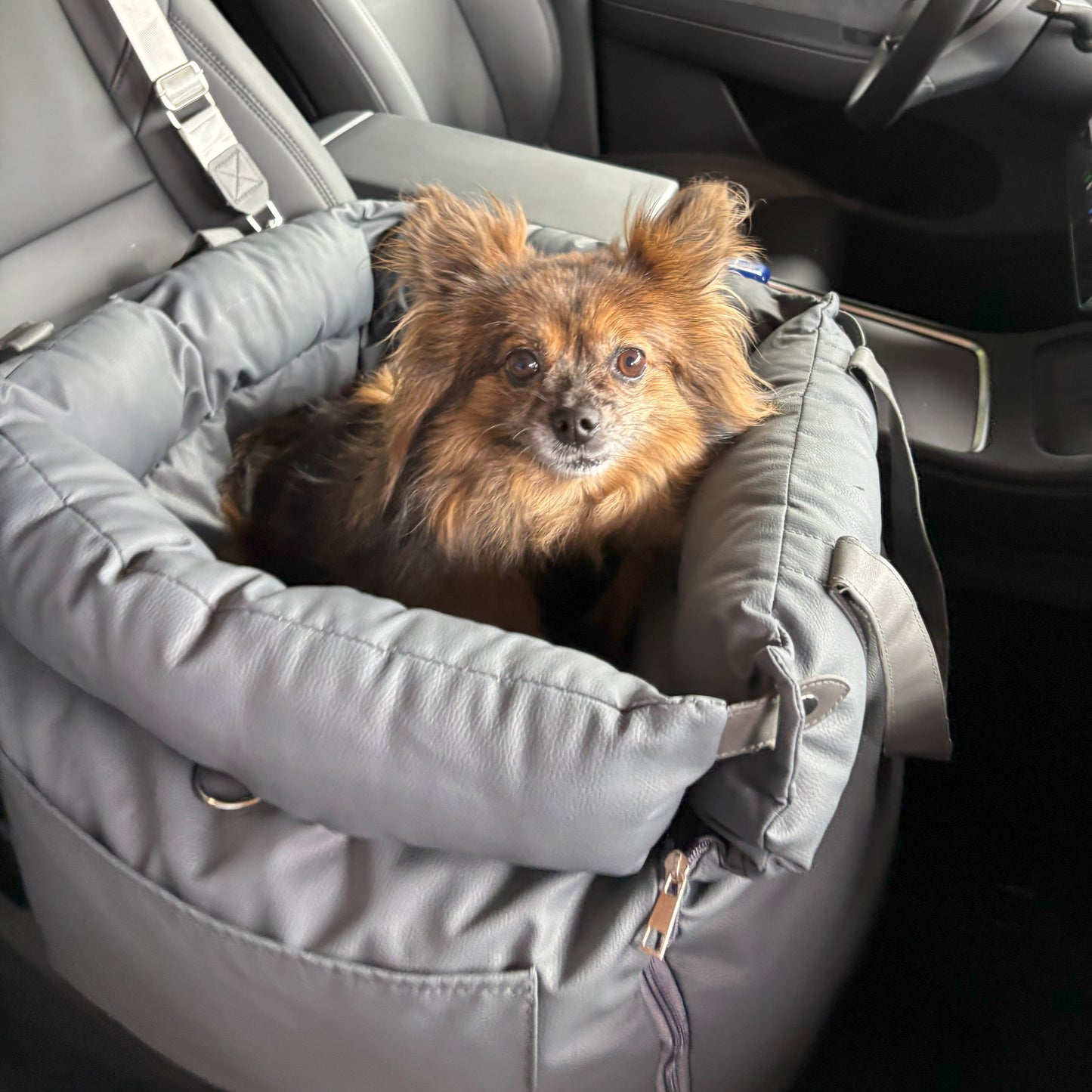 Dog in a car seat inside a vehicle