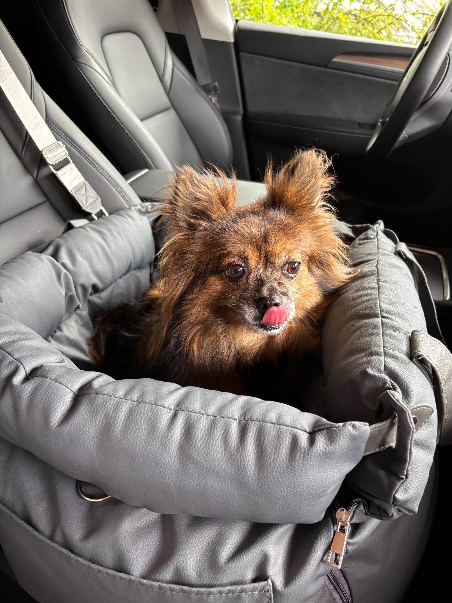 Wafflepupz PawSeat