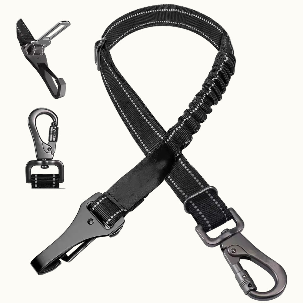 PawSecure Belt